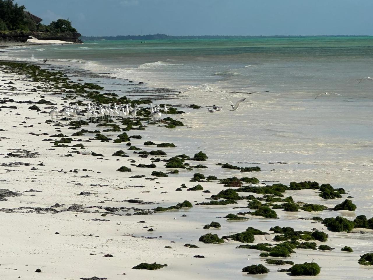 Villa Serenity, Tanzania Unforgettable Paje Εξωτερικό φωτογραφία
